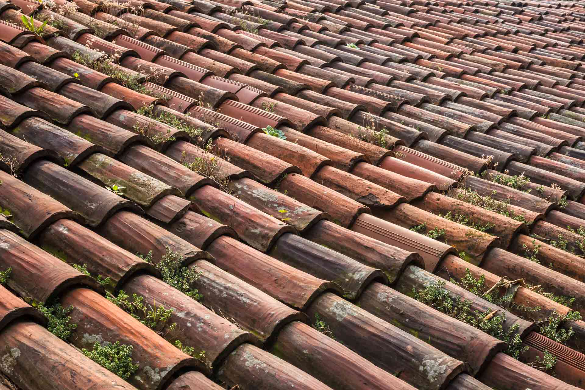 When To Replace Roof Shingles?