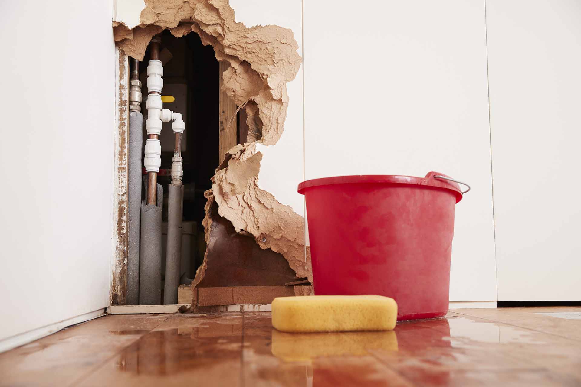 How Can You Tell If Your Basement Has Water Damage?